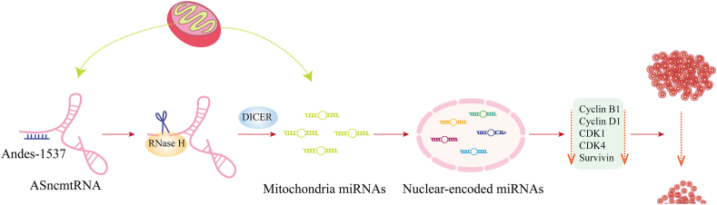 Figure 5