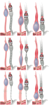Figure 7