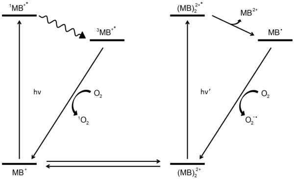 Scheme 2