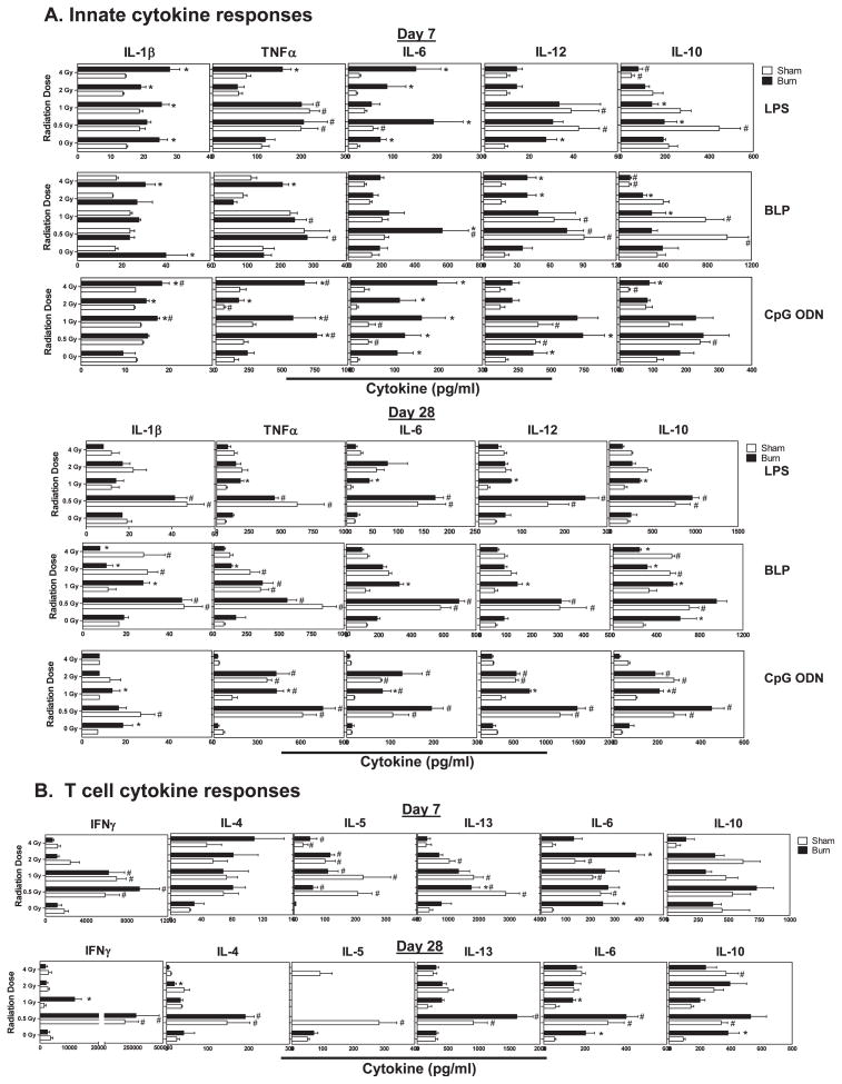 FIG. 7