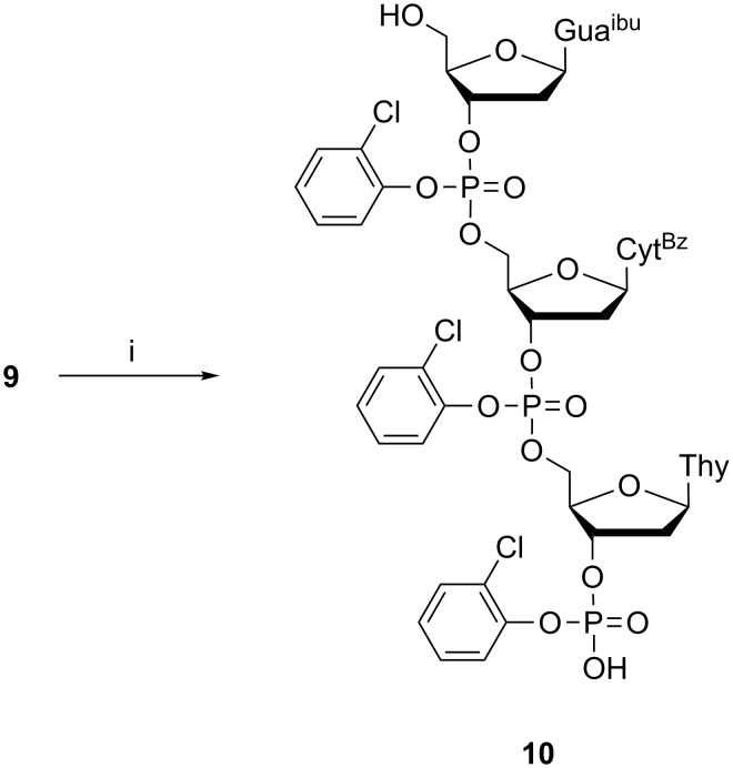 Scheme 4