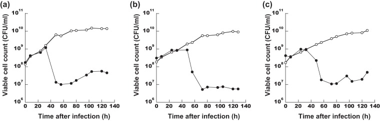 FIG 6