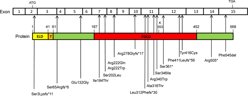 Figure 3.