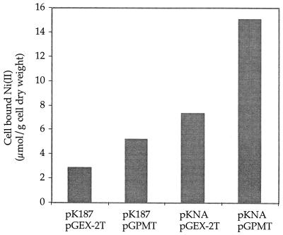 FIG. 1