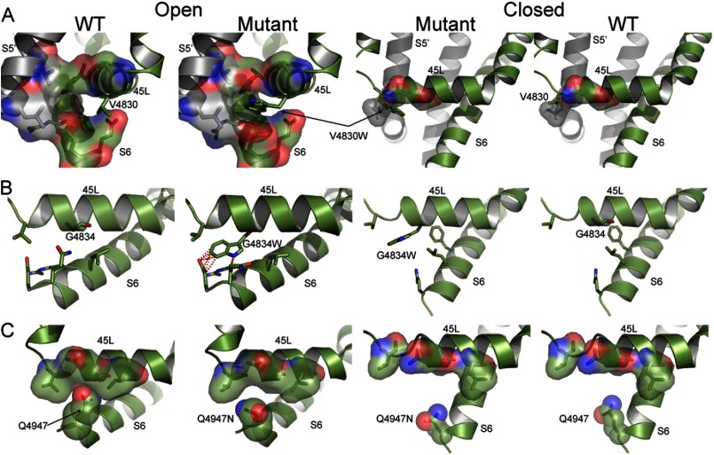 FIGURE 5.