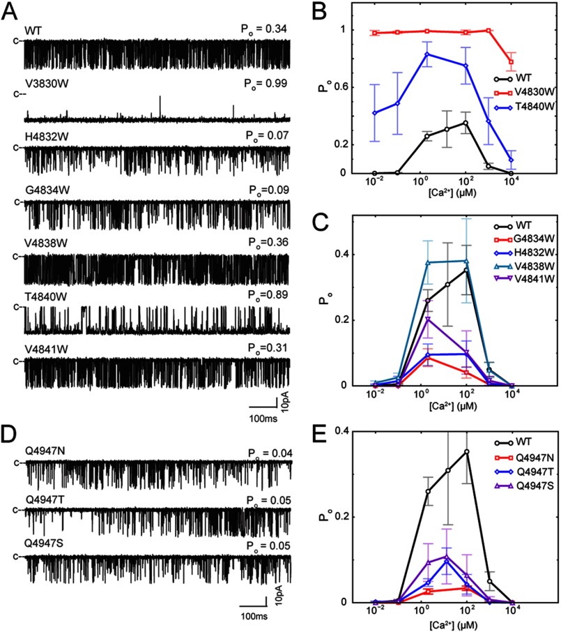 FIGURE 4.