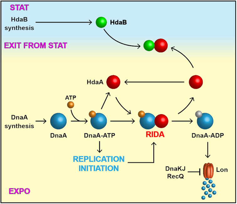 Figure 7.