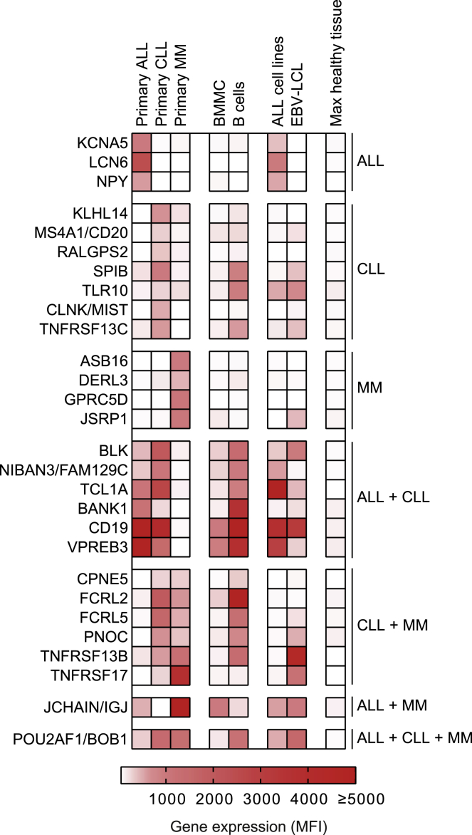 Figure 1