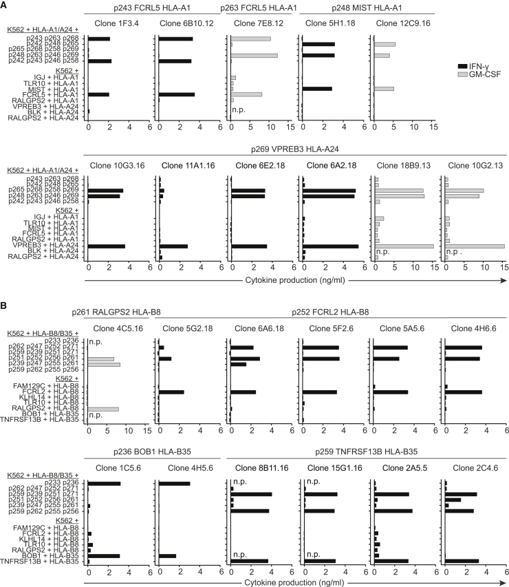 Figure 2