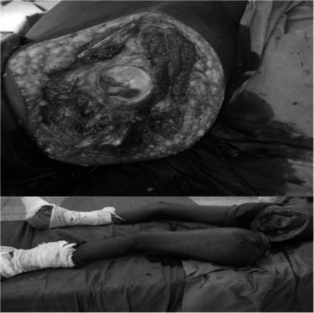Fig. 10