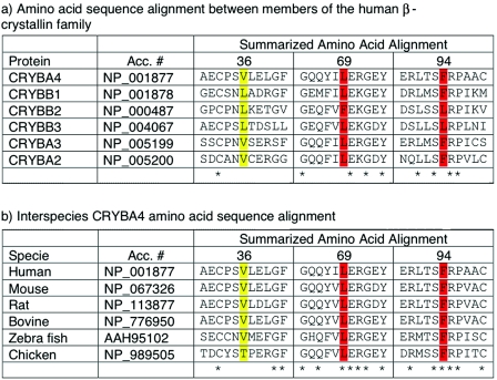 Figure  2. 