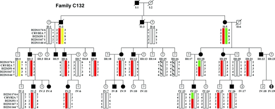 Figure  1. 