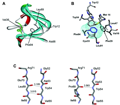 Figure  3. 