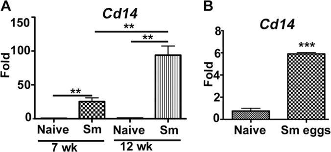 FIG 1