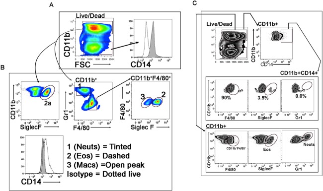 FIG 6