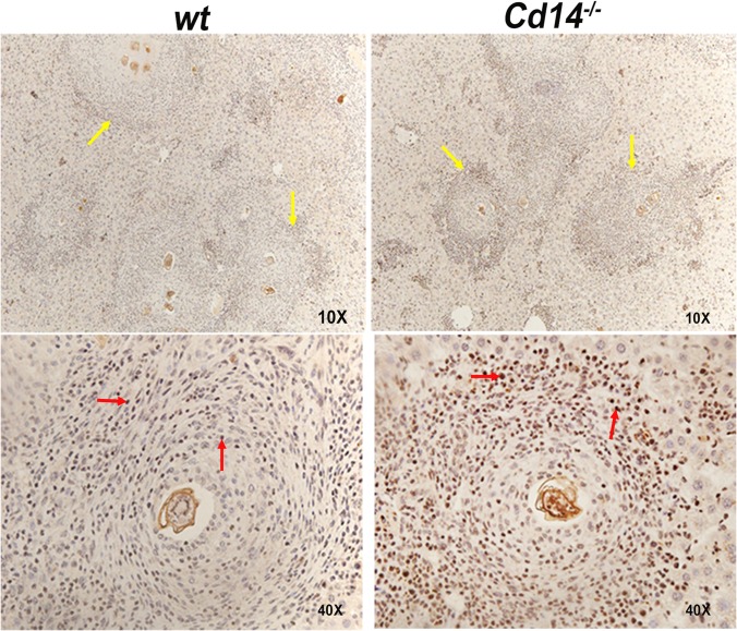 FIG 8