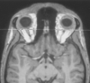 F<sc>ig</sc> 1.