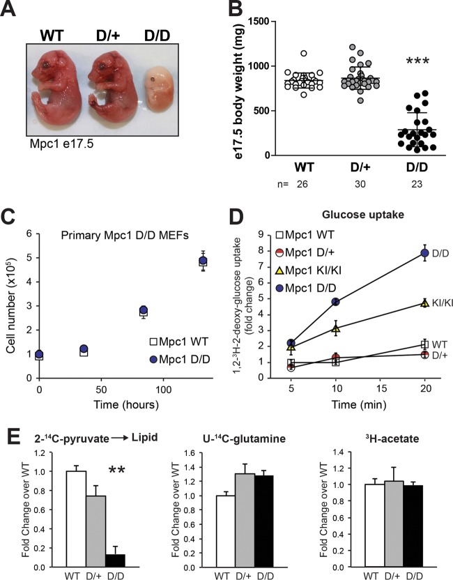 FIG 3