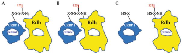 Fig. 2.7