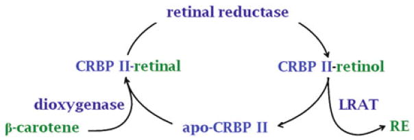 Fig. 2.4