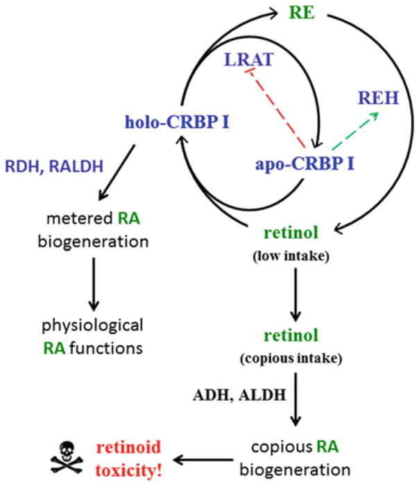 Fig. 2.5