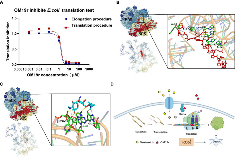 Figure 12