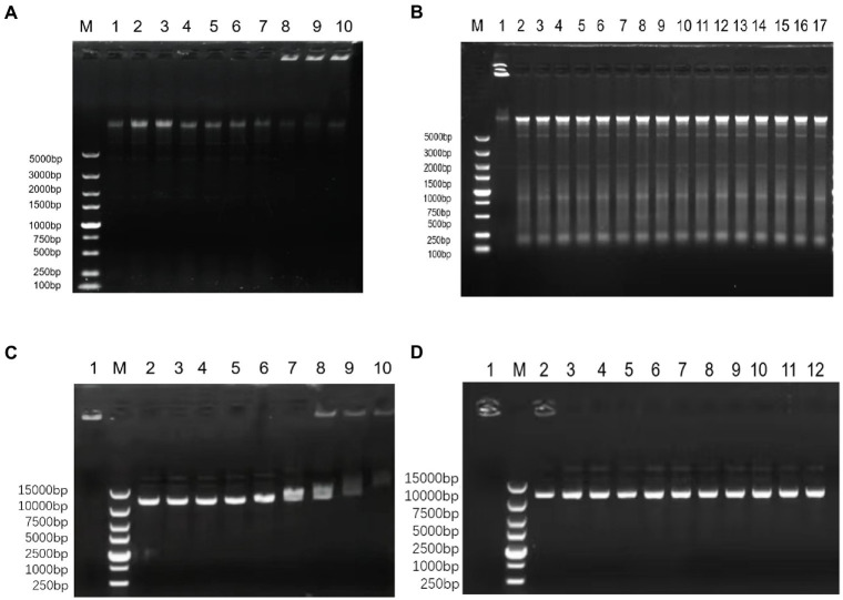 Figure 9