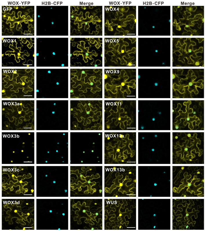 Figure 6