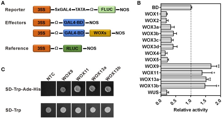 Figure 7