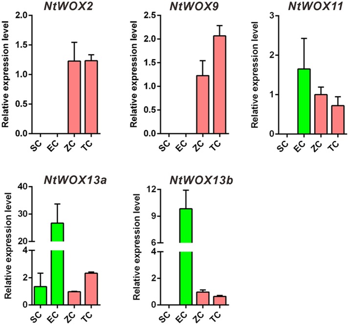 Figure 4