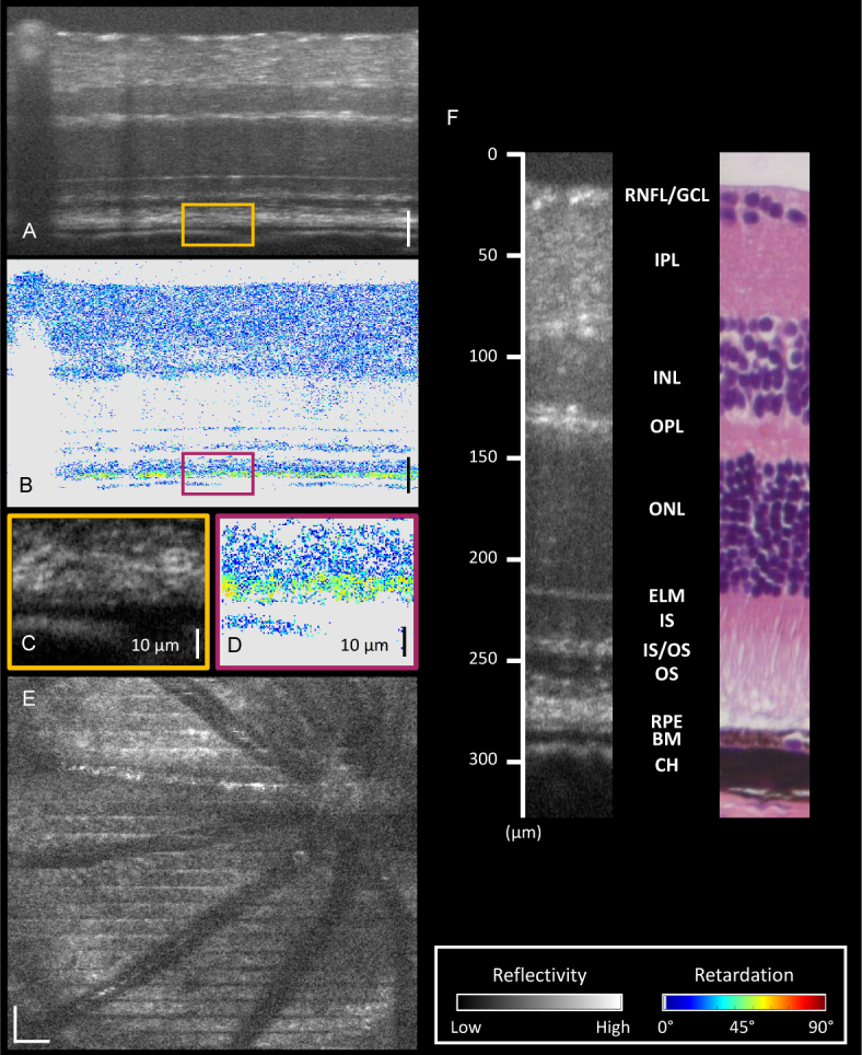 Fig. 4