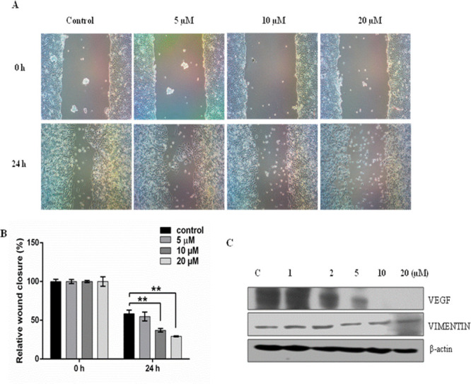 Figure 10