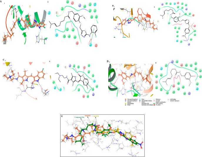 Figure 13