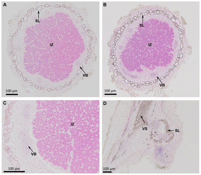 Figure 2