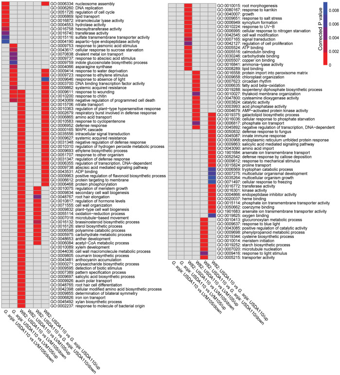 Figure 6