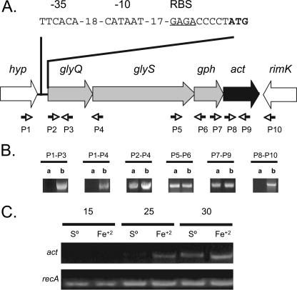 FIG. 1.