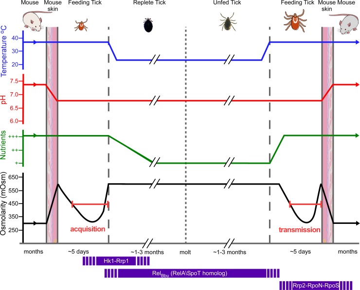 Fig 9