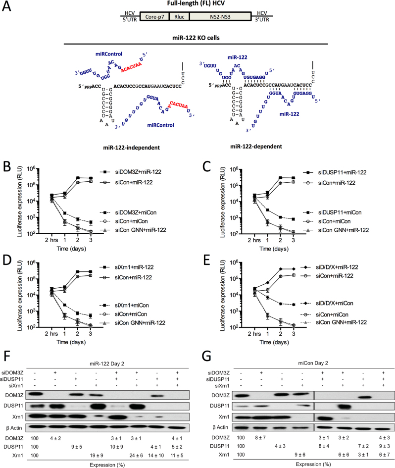 Figure 10.