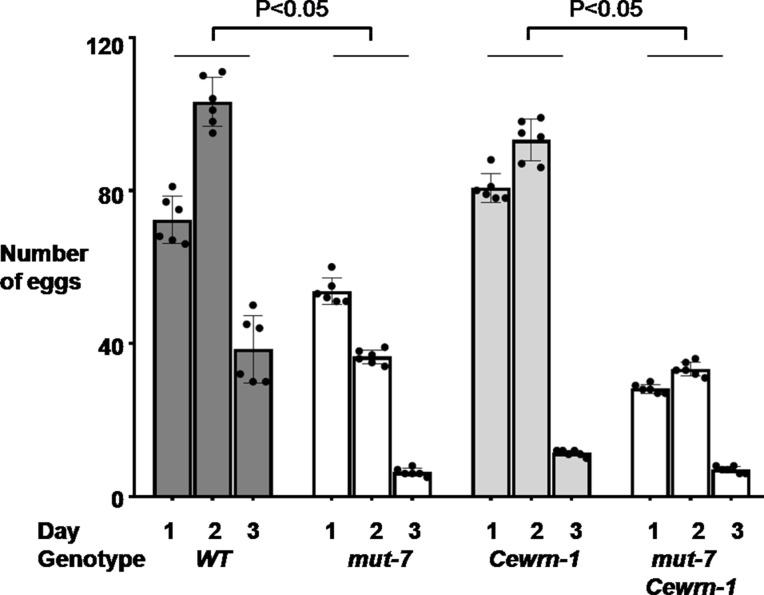 Figure 5—figure supplement 1.