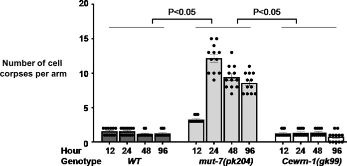 Figure 5—figure supplement 2.