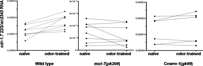 Figure 2—figure supplement 1.