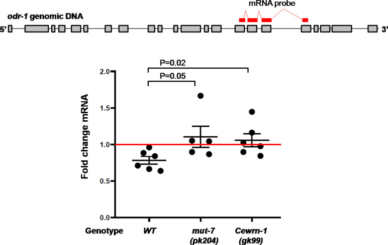 Figure 2—figure supplement 2.