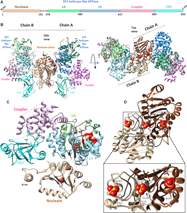 Figure 3.