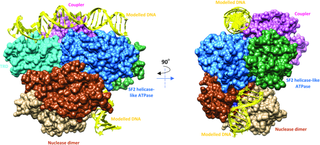 Figure 6.