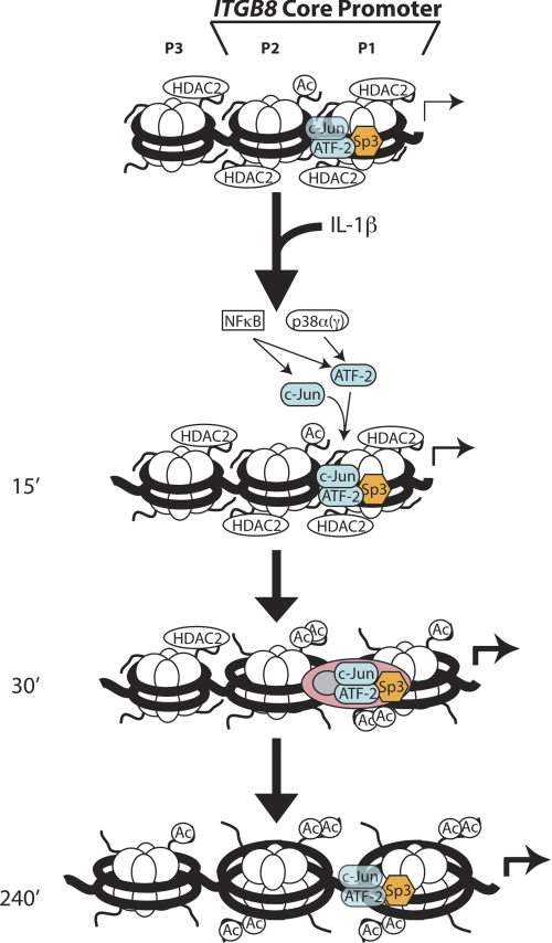 FIGURE 7.