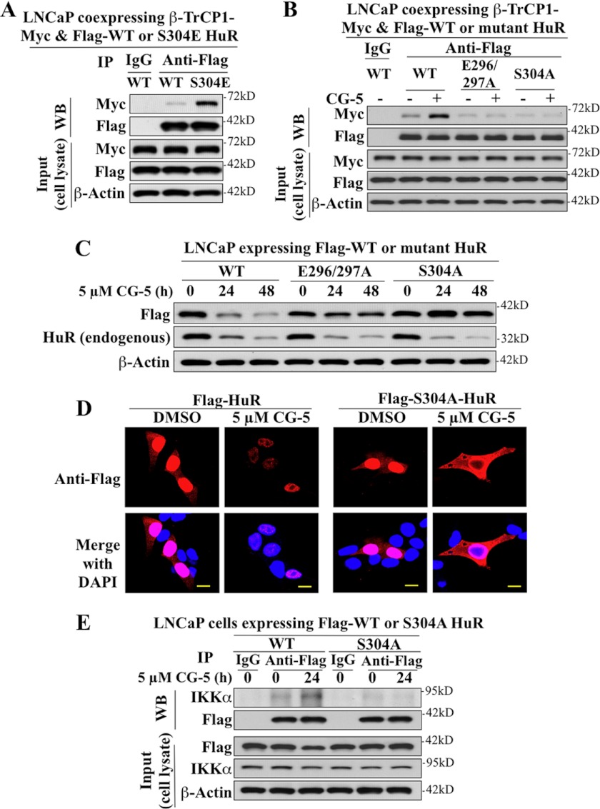 FIGURE 10.