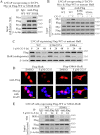 FIGURE 10.