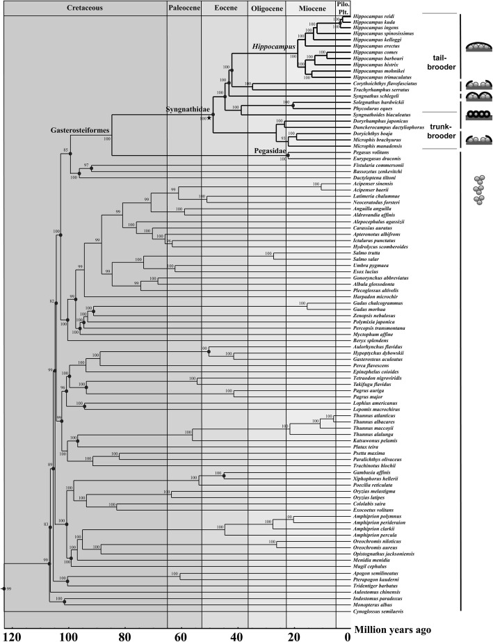 Fig. 6