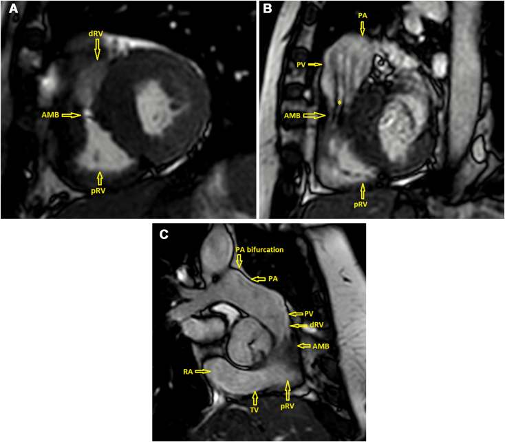 Figure 6