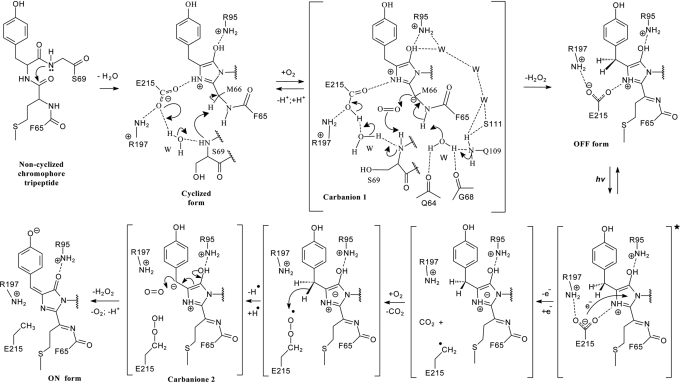 Fig. 3.